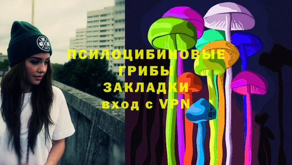 винт Алексеевка
