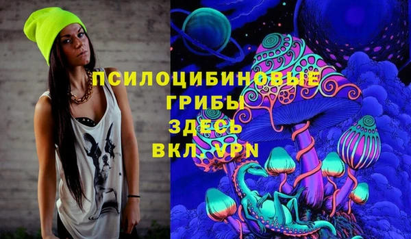 дурь Алексин