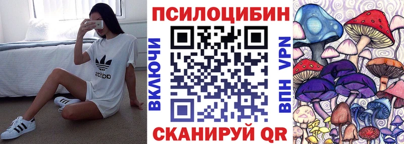 как найти   Всеволожск  Псилоцибиновые грибы Psilocybine cubensis 